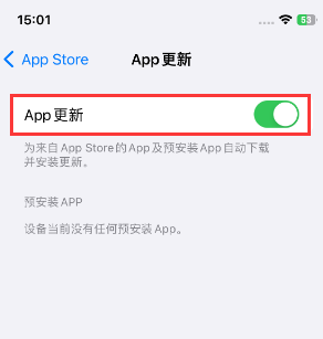 安庆苹果15维修中心如何让iPhone15APP自动更新