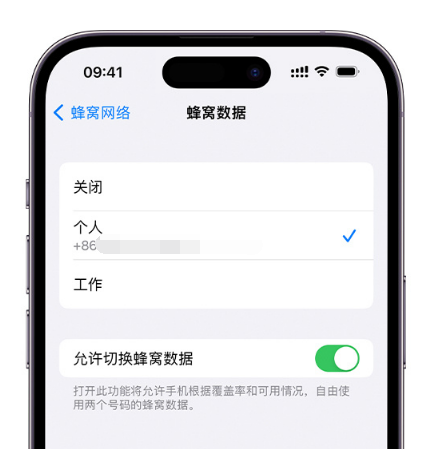 安庆苹果维修服务分享如何在iPhone上使用双卡 